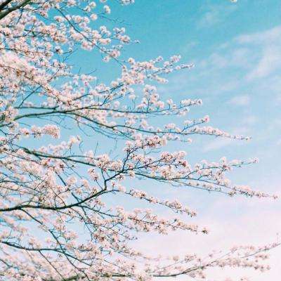 kok中欧登录入口下载手机版